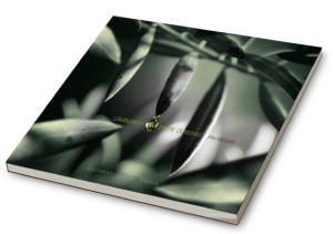 Captura de pantalla 2013-02-27 a la(s) 17.01.24